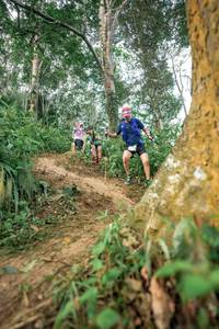 BIB: 
                            <button type="button" onclick="openModal(24856030)" class="btn btn-primary btn-sm float-right btn-popup" data-toggle="modal" data-target=".modal-high-quality">
                        <i class="fas fa-shopping-cart"></i> Add to Cart
                    </button>
                                            <button type="button" onclick="isThisMe(24856030, true)" class="btn btn-success btn-sm float-right btn-popup btn-isme hidden" data-toggle="tooltip" data-placement="bottom" title="นี่คือรูปของคุณใช่ไหม คลิกที่นี่เพื่อเอาเข้าอัลบั้ม">
                        <i class="fas fa-plus"></i> Add to album
                    </button>
                    <button type="button" onclick="isThisMe(24856030, false)" class="btn btn-warning btn-sm float-right btn-popup btn-isnotme hidden">
                        <i class="fas fa-ban"></i> Remove from album
                    </button>