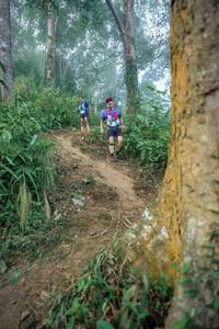 BIB: 
                            <button type="button" onclick="openModal(24852170)" class="btn btn-primary btn-sm float-right btn-popup" data-toggle="modal" data-target=".modal-high-quality">
                        <i class="fas fa-shopping-cart"></i> Add to Cart
                    </button>
                                            <button type="button" onclick="isThisMe(24852170, true)" class="btn btn-success btn-sm float-right btn-popup btn-isme hidden" data-toggle="tooltip" data-placement="bottom" title="นี่คือรูปของคุณใช่ไหม คลิกที่นี่เพื่อเอาเข้าอัลบั้ม">
                        <i class="fas fa-plus"></i> Add to album
                    </button>
                    <button type="button" onclick="isThisMe(24852170, false)" class="btn btn-warning btn-sm float-right btn-popup btn-isnotme hidden">
                        <i class="fas fa-ban"></i> Remove from album
                    </button>