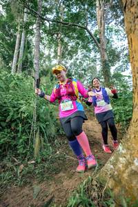 BIB: 2553, 82582
                            <button type="button" onclick="openModal(24854328)" class="btn btn-primary btn-sm float-right btn-popup" data-toggle="modal" data-target=".modal-high-quality">
                        <i class="fas fa-shopping-cart"></i> Add to Cart
                    </button>
                                            <button type="button" onclick="isThisMe(24854328, true)" class="btn btn-success btn-sm float-right btn-popup btn-isme hidden" data-toggle="tooltip" data-placement="bottom" title="นี่คือรูปของคุณใช่ไหม คลิกที่นี่เพื่อเอาเข้าอัลบั้ม">
                        <i class="fas fa-plus"></i> Add to album
                    </button>
                    <button type="button" onclick="isThisMe(24854328, false)" class="btn btn-warning btn-sm float-right btn-popup btn-isnotme hidden">
                        <i class="fas fa-ban"></i> Remove from album
                    </button>