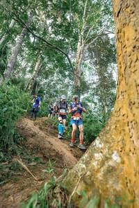 BIB: 
                            <button type="button" onclick="openModal(24856770)" class="btn btn-primary btn-sm float-right btn-popup" data-toggle="modal" data-target=".modal-high-quality">
                        <i class="fas fa-shopping-cart"></i> Add to Cart
                    </button>
                                            <button type="button" onclick="isThisMe(24856770, true)" class="btn btn-success btn-sm float-right btn-popup btn-isme hidden" data-toggle="tooltip" data-placement="bottom" title="นี่คือรูปของคุณใช่ไหม คลิกที่นี่เพื่อเอาเข้าอัลบั้ม">
                        <i class="fas fa-plus"></i> Add to album
                    </button>
                    <button type="button" onclick="isThisMe(24856770, false)" class="btn btn-warning btn-sm float-right btn-popup btn-isnotme hidden">
                        <i class="fas fa-ban"></i> Remove from album
                    </button>