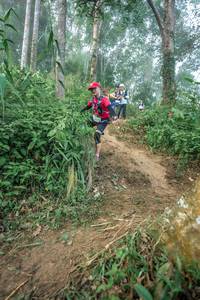 BIB: 
                            <button type="button" onclick="openModal(24852411)" class="btn btn-primary btn-sm float-right btn-popup" data-toggle="modal" data-target=".modal-high-quality">
                        <i class="fas fa-shopping-cart"></i> Add to Cart
                    </button>
                                            <button type="button" onclick="isThisMe(24852411, true)" class="btn btn-success btn-sm float-right btn-popup btn-isme hidden" data-toggle="tooltip" data-placement="bottom" title="นี่คือรูปของคุณใช่ไหม คลิกที่นี่เพื่อเอาเข้าอัลบั้ม">
                        <i class="fas fa-plus"></i> Add to album
                    </button>
                    <button type="button" onclick="isThisMe(24852411, false)" class="btn btn-warning btn-sm float-right btn-popup btn-isnotme hidden">
                        <i class="fas fa-ban"></i> Remove from album
                    </button>