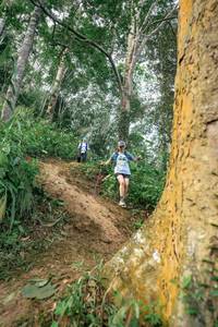 BIB: 
                            <button type="button" onclick="openModal(24856549)" class="btn btn-primary btn-sm float-right btn-popup" data-toggle="modal" data-target=".modal-high-quality">
                        <i class="fas fa-shopping-cart"></i> Add to Cart
                    </button>
                                            <button type="button" onclick="isThisMe(24856549, true)" class="btn btn-success btn-sm float-right btn-popup btn-isme hidden" data-toggle="tooltip" data-placement="bottom" title="นี่คือรูปของคุณใช่ไหม คลิกที่นี่เพื่อเอาเข้าอัลบั้ม">
                        <i class="fas fa-plus"></i> Add to album
                    </button>
                    <button type="button" onclick="isThisMe(24856549, false)" class="btn btn-warning btn-sm float-right btn-popup btn-isnotme hidden">
                        <i class="fas fa-ban"></i> Remove from album
                    </button>