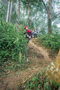 BIB: 
                            <button type="button" onclick="openModal(24852408)" class="btn btn-primary btn-sm float-right btn-popup" data-toggle="modal" data-target=".modal-high-quality">
                        <i class="fas fa-shopping-cart"></i> Add to Cart
                    </button>
                                            <button type="button" onclick="isThisMe(24852408, true)" class="btn btn-success btn-sm float-right btn-popup btn-isme hidden" data-toggle="tooltip" data-placement="bottom" title="นี่คือรูปของคุณใช่ไหม คลิกที่นี่เพื่อเอาเข้าอัลบั้ม">
                        <i class="fas fa-plus"></i> Add to album
                    </button>
                    <button type="button" onclick="isThisMe(24852408, false)" class="btn btn-warning btn-sm float-right btn-popup btn-isnotme hidden">
                        <i class="fas fa-ban"></i> Remove from album
                    </button>