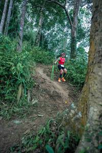 BIB: 
                            <button type="button" onclick="openModal(24851456)" class="btn btn-primary btn-sm float-right btn-popup" data-toggle="modal" data-target=".modal-high-quality">
                        <i class="fas fa-shopping-cart"></i> Add to Cart
                    </button>
                                            <button type="button" onclick="isThisMe(24851456, true)" class="btn btn-success btn-sm float-right btn-popup btn-isme hidden" data-toggle="tooltip" data-placement="bottom" title="นี่คือรูปของคุณใช่ไหม คลิกที่นี่เพื่อเอาเข้าอัลบั้ม">
                        <i class="fas fa-plus"></i> Add to album
                    </button>
                    <button type="button" onclick="isThisMe(24851456, false)" class="btn btn-warning btn-sm float-right btn-popup btn-isnotme hidden">
                        <i class="fas fa-ban"></i> Remove from album
                    </button>