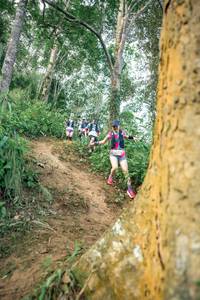 BIB: 
                            <button type="button" onclick="openModal(24854028)" class="btn btn-primary btn-sm float-right btn-popup" data-toggle="modal" data-target=".modal-high-quality">
                        <i class="fas fa-shopping-cart"></i> Add to Cart
                    </button>
                                            <button type="button" onclick="isThisMe(24854028, true)" class="btn btn-success btn-sm float-right btn-popup btn-isme hidden" data-toggle="tooltip" data-placement="bottom" title="นี่คือรูปของคุณใช่ไหม คลิกที่นี่เพื่อเอาเข้าอัลบั้ม">
                        <i class="fas fa-plus"></i> Add to album
                    </button>
                    <button type="button" onclick="isThisMe(24854028, false)" class="btn btn-warning btn-sm float-right btn-popup btn-isnotme hidden">
                        <i class="fas fa-ban"></i> Remove from album
                    </button>