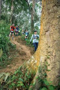 BIB: 
                            <button type="button" onclick="openModal(24853305)" class="btn btn-primary btn-sm float-right btn-popup" data-toggle="modal" data-target=".modal-high-quality">
                        <i class="fas fa-shopping-cart"></i> Add to Cart
                    </button>
                                            <button type="button" onclick="isThisMe(24853305, true)" class="btn btn-success btn-sm float-right btn-popup btn-isme hidden" data-toggle="tooltip" data-placement="bottom" title="นี่คือรูปของคุณใช่ไหม คลิกที่นี่เพื่อเอาเข้าอัลบั้ม">
                        <i class="fas fa-plus"></i> Add to album
                    </button>
                    <button type="button" onclick="isThisMe(24853305, false)" class="btn btn-warning btn-sm float-right btn-popup btn-isnotme hidden">
                        <i class="fas fa-ban"></i> Remove from album
                    </button>