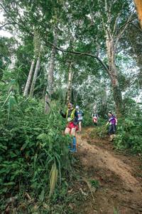 BIB: 
                            <button type="button" onclick="openModal(24856635)" class="btn btn-primary btn-sm float-right btn-popup" data-toggle="modal" data-target=".modal-high-quality">
                        <i class="fas fa-shopping-cart"></i> Add to Cart
                    </button>
                                            <button type="button" onclick="isThisMe(24856635, true)" class="btn btn-success btn-sm float-right btn-popup btn-isme hidden" data-toggle="tooltip" data-placement="bottom" title="นี่คือรูปของคุณใช่ไหม คลิกที่นี่เพื่อเอาเข้าอัลบั้ม">
                        <i class="fas fa-plus"></i> Add to album
                    </button>
                    <button type="button" onclick="isThisMe(24856635, false)" class="btn btn-warning btn-sm float-right btn-popup btn-isnotme hidden">
                        <i class="fas fa-ban"></i> Remove from album
                    </button>