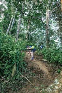 BIB: 
                            <button type="button" onclick="openModal(24856891)" class="btn btn-primary btn-sm float-right btn-popup" data-toggle="modal" data-target=".modal-high-quality">
                        <i class="fas fa-shopping-cart"></i> Add to Cart
                    </button>
                                            <button type="button" onclick="isThisMe(24856891, true)" class="btn btn-success btn-sm float-right btn-popup btn-isme hidden" data-toggle="tooltip" data-placement="bottom" title="นี่คือรูปของคุณใช่ไหม คลิกที่นี่เพื่อเอาเข้าอัลบั้ม">
                        <i class="fas fa-plus"></i> Add to album
                    </button>
                    <button type="button" onclick="isThisMe(24856891, false)" class="btn btn-warning btn-sm float-right btn-popup btn-isnotme hidden">
                        <i class="fas fa-ban"></i> Remove from album
                    </button>