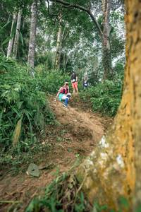 BIB: 
                            <button type="button" onclick="openModal(24853514)" class="btn btn-primary btn-sm float-right btn-popup" data-toggle="modal" data-target=".modal-high-quality">
                        <i class="fas fa-shopping-cart"></i> Add to Cart
                    </button>
                                            <button type="button" onclick="isThisMe(24853514, true)" class="btn btn-success btn-sm float-right btn-popup btn-isme hidden" data-toggle="tooltip" data-placement="bottom" title="นี่คือรูปของคุณใช่ไหม คลิกที่นี่เพื่อเอาเข้าอัลบั้ม">
                        <i class="fas fa-plus"></i> Add to album
                    </button>
                    <button type="button" onclick="isThisMe(24853514, false)" class="btn btn-warning btn-sm float-right btn-popup btn-isnotme hidden">
                        <i class="fas fa-ban"></i> Remove from album
                    </button>