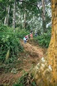 BIB: 
                            <button type="button" onclick="openModal(24853509)" class="btn btn-primary btn-sm float-right btn-popup" data-toggle="modal" data-target=".modal-high-quality">
                        <i class="fas fa-shopping-cart"></i> Add to Cart
                    </button>
                                            <button type="button" onclick="isThisMe(24853509, true)" class="btn btn-success btn-sm float-right btn-popup btn-isme hidden" data-toggle="tooltip" data-placement="bottom" title="นี่คือรูปของคุณใช่ไหม คลิกที่นี่เพื่อเอาเข้าอัลบั้ม">
                        <i class="fas fa-plus"></i> Add to album
                    </button>
                    <button type="button" onclick="isThisMe(24853509, false)" class="btn btn-warning btn-sm float-right btn-popup btn-isnotme hidden">
                        <i class="fas fa-ban"></i> Remove from album
                    </button>