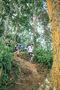 BIB: 
                            <button type="button" onclick="openModal(24854419)" class="btn btn-primary btn-sm float-right btn-popup" data-toggle="modal" data-target=".modal-high-quality">
                        <i class="fas fa-shopping-cart"></i> Add to Cart
                    </button>
                                            <button type="button" onclick="isThisMe(24854419, true)" class="btn btn-success btn-sm float-right btn-popup btn-isme hidden" data-toggle="tooltip" data-placement="bottom" title="นี่คือรูปของคุณใช่ไหม คลิกที่นี่เพื่อเอาเข้าอัลบั้ม">
                        <i class="fas fa-plus"></i> Add to album
                    </button>
                    <button type="button" onclick="isThisMe(24854419, false)" class="btn btn-warning btn-sm float-right btn-popup btn-isnotme hidden">
                        <i class="fas fa-ban"></i> Remove from album
                    </button>