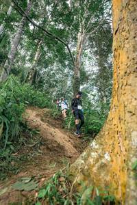 BIB: 
                            <button type="button" onclick="openModal(24856538)" class="btn btn-primary btn-sm float-right btn-popup" data-toggle="modal" data-target=".modal-high-quality">
                        <i class="fas fa-shopping-cart"></i> Add to Cart
                    </button>
                                            <button type="button" onclick="isThisMe(24856538, true)" class="btn btn-success btn-sm float-right btn-popup btn-isme hidden" data-toggle="tooltip" data-placement="bottom" title="นี่คือรูปของคุณใช่ไหม คลิกที่นี่เพื่อเอาเข้าอัลบั้ม">
                        <i class="fas fa-plus"></i> Add to album
                    </button>
                    <button type="button" onclick="isThisMe(24856538, false)" class="btn btn-warning btn-sm float-right btn-popup btn-isnotme hidden">
                        <i class="fas fa-ban"></i> Remove from album
                    </button>