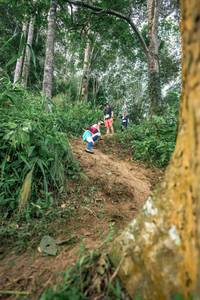 BIB: 
                            <button type="button" onclick="openModal(24853512)" class="btn btn-primary btn-sm float-right btn-popup" data-toggle="modal" data-target=".modal-high-quality">
                        <i class="fas fa-shopping-cart"></i> Add to Cart
                    </button>
                                            <button type="button" onclick="isThisMe(24853512, true)" class="btn btn-success btn-sm float-right btn-popup btn-isme hidden" data-toggle="tooltip" data-placement="bottom" title="นี่คือรูปของคุณใช่ไหม คลิกที่นี่เพื่อเอาเข้าอัลบั้ม">
                        <i class="fas fa-plus"></i> Add to album
                    </button>
                    <button type="button" onclick="isThisMe(24853512, false)" class="btn btn-warning btn-sm float-right btn-popup btn-isnotme hidden">
                        <i class="fas fa-ban"></i> Remove from album
                    </button>