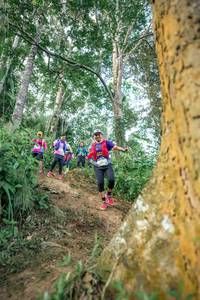 BIB: 
                            <button type="button" onclick="openModal(24854309)" class="btn btn-primary btn-sm float-right btn-popup" data-toggle="modal" data-target=".modal-high-quality">
                        <i class="fas fa-shopping-cart"></i> Add to Cart
                    </button>
                                            <button type="button" onclick="isThisMe(24854309, true)" class="btn btn-success btn-sm float-right btn-popup btn-isme hidden" data-toggle="tooltip" data-placement="bottom" title="นี่คือรูปของคุณใช่ไหม คลิกที่นี่เพื่อเอาเข้าอัลบั้ม">
                        <i class="fas fa-plus"></i> Add to album
                    </button>
                    <button type="button" onclick="isThisMe(24854309, false)" class="btn btn-warning btn-sm float-right btn-popup btn-isnotme hidden">
                        <i class="fas fa-ban"></i> Remove from album
                    </button>