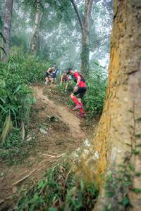 BIB: 
                            <button type="button" onclick="openModal(24852303)" class="btn btn-primary btn-sm float-right btn-popup" data-toggle="modal" data-target=".modal-high-quality">
                        <i class="fas fa-shopping-cart"></i> Add to Cart
                    </button>
                                            <button type="button" onclick="isThisMe(24852303, true)" class="btn btn-success btn-sm float-right btn-popup btn-isme hidden" data-toggle="tooltip" data-placement="bottom" title="นี่คือรูปของคุณใช่ไหม คลิกที่นี่เพื่อเอาเข้าอัลบั้ม">
                        <i class="fas fa-plus"></i> Add to album
                    </button>
                    <button type="button" onclick="isThisMe(24852303, false)" class="btn btn-warning btn-sm float-right btn-popup btn-isnotme hidden">
                        <i class="fas fa-ban"></i> Remove from album
                    </button>