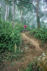 BIB: 
                            <button type="button" onclick="openModal(24852235)" class="btn btn-primary btn-sm float-right btn-popup" data-toggle="modal" data-target=".modal-high-quality">
                        <i class="fas fa-shopping-cart"></i> Add to Cart
                    </button>
                                            <button type="button" onclick="isThisMe(24852235, true)" class="btn btn-success btn-sm float-right btn-popup btn-isme hidden" data-toggle="tooltip" data-placement="bottom" title="นี่คือรูปของคุณใช่ไหม คลิกที่นี่เพื่อเอาเข้าอัลบั้ม">
                        <i class="fas fa-plus"></i> Add to album
                    </button>
                    <button type="button" onclick="isThisMe(24852235, false)" class="btn btn-warning btn-sm float-right btn-popup btn-isnotme hidden">
                        <i class="fas fa-ban"></i> Remove from album
                    </button>