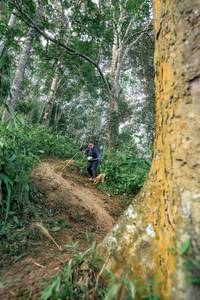 BIB: 
                            <button type="button" onclick="openModal(24856816)" class="btn btn-primary btn-sm float-right btn-popup" data-toggle="modal" data-target=".modal-high-quality">
                        <i class="fas fa-shopping-cart"></i> Add to Cart
                    </button>
                                            <button type="button" onclick="isThisMe(24856816, true)" class="btn btn-success btn-sm float-right btn-popup btn-isme hidden" data-toggle="tooltip" data-placement="bottom" title="นี่คือรูปของคุณใช่ไหม คลิกที่นี่เพื่อเอาเข้าอัลบั้ม">
                        <i class="fas fa-plus"></i> Add to album
                    </button>
                    <button type="button" onclick="isThisMe(24856816, false)" class="btn btn-warning btn-sm float-right btn-popup btn-isnotme hidden">
                        <i class="fas fa-ban"></i> Remove from album
                    </button>