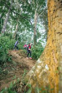 BIB: 
                            <button type="button" onclick="openModal(24854276)" class="btn btn-primary btn-sm float-right btn-popup" data-toggle="modal" data-target=".modal-high-quality">
                        <i class="fas fa-shopping-cart"></i> Add to Cart
                    </button>
                                            <button type="button" onclick="isThisMe(24854276, true)" class="btn btn-success btn-sm float-right btn-popup btn-isme hidden" data-toggle="tooltip" data-placement="bottom" title="นี่คือรูปของคุณใช่ไหม คลิกที่นี่เพื่อเอาเข้าอัลบั้ม">
                        <i class="fas fa-plus"></i> Add to album
                    </button>
                    <button type="button" onclick="isThisMe(24854276, false)" class="btn btn-warning btn-sm float-right btn-popup btn-isnotme hidden">
                        <i class="fas fa-ban"></i> Remove from album
                    </button>