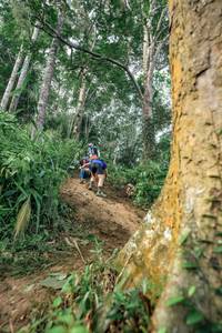 BIB: 
                            <button type="button" onclick="openModal(24856682)" class="btn btn-primary btn-sm float-right btn-popup" data-toggle="modal" data-target=".modal-high-quality">
                        <i class="fas fa-shopping-cart"></i> Add to Cart
                    </button>
                                            <button type="button" onclick="isThisMe(24856682, true)" class="btn btn-success btn-sm float-right btn-popup btn-isme hidden" data-toggle="tooltip" data-placement="bottom" title="นี่คือรูปของคุณใช่ไหม คลิกที่นี่เพื่อเอาเข้าอัลบั้ม">
                        <i class="fas fa-plus"></i> Add to album
                    </button>
                    <button type="button" onclick="isThisMe(24856682, false)" class="btn btn-warning btn-sm float-right btn-popup btn-isnotme hidden">
                        <i class="fas fa-ban"></i> Remove from album
                    </button>