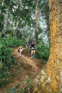 BIB: 
                            <button type="button" onclick="openModal(24856243)" class="btn btn-primary btn-sm float-right btn-popup" data-toggle="modal" data-target=".modal-high-quality">
                        <i class="fas fa-shopping-cart"></i> Add to Cart
                    </button>
                                            <button type="button" onclick="isThisMe(24856243, true)" class="btn btn-success btn-sm float-right btn-popup btn-isme hidden" data-toggle="tooltip" data-placement="bottom" title="นี่คือรูปของคุณใช่ไหม คลิกที่นี่เพื่อเอาเข้าอัลบั้ม">
                        <i class="fas fa-plus"></i> Add to album
                    </button>
                    <button type="button" onclick="isThisMe(24856243, false)" class="btn btn-warning btn-sm float-right btn-popup btn-isnotme hidden">
                        <i class="fas fa-ban"></i> Remove from album
                    </button>