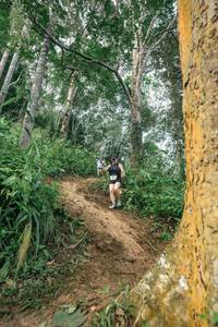 BIB: 
                            <button type="button" onclick="openModal(24856518)" class="btn btn-primary btn-sm float-right btn-popup" data-toggle="modal" data-target=".modal-high-quality">
                        <i class="fas fa-shopping-cart"></i> Add to Cart
                    </button>
                                            <button type="button" onclick="isThisMe(24856518, true)" class="btn btn-success btn-sm float-right btn-popup btn-isme hidden" data-toggle="tooltip" data-placement="bottom" title="นี่คือรูปของคุณใช่ไหม คลิกที่นี่เพื่อเอาเข้าอัลบั้ม">
                        <i class="fas fa-plus"></i> Add to album
                    </button>
                    <button type="button" onclick="isThisMe(24856518, false)" class="btn btn-warning btn-sm float-right btn-popup btn-isnotme hidden">
                        <i class="fas fa-ban"></i> Remove from album
                    </button>