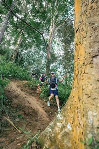 BIB: 
                            <button type="button" onclick="openModal(24856796)" class="btn btn-primary btn-sm float-right btn-popup" data-toggle="modal" data-target=".modal-high-quality">
                        <i class="fas fa-shopping-cart"></i> Add to Cart
                    </button>
                                            <button type="button" onclick="isThisMe(24856796, true)" class="btn btn-success btn-sm float-right btn-popup btn-isme hidden" data-toggle="tooltip" data-placement="bottom" title="นี่คือรูปของคุณใช่ไหม คลิกที่นี่เพื่อเอาเข้าอัลบั้ม">
                        <i class="fas fa-plus"></i> Add to album
                    </button>
                    <button type="button" onclick="isThisMe(24856796, false)" class="btn btn-warning btn-sm float-right btn-popup btn-isnotme hidden">
                        <i class="fas fa-ban"></i> Remove from album
                    </button>