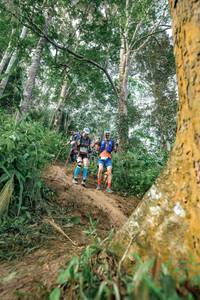 BIB: 
                            <button type="button" onclick="openModal(24856763)" class="btn btn-primary btn-sm float-right btn-popup" data-toggle="modal" data-target=".modal-high-quality">
                        <i class="fas fa-shopping-cart"></i> Add to Cart
                    </button>
                                            <button type="button" onclick="isThisMe(24856763, true)" class="btn btn-success btn-sm float-right btn-popup btn-isme hidden" data-toggle="tooltip" data-placement="bottom" title="นี่คือรูปของคุณใช่ไหม คลิกที่นี่เพื่อเอาเข้าอัลบั้ม">
                        <i class="fas fa-plus"></i> Add to album
                    </button>
                    <button type="button" onclick="isThisMe(24856763, false)" class="btn btn-warning btn-sm float-right btn-popup btn-isnotme hidden">
                        <i class="fas fa-ban"></i> Remove from album
                    </button>