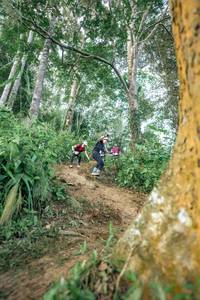 BIB: 
                            <button type="button" onclick="openModal(24854259)" class="btn btn-primary btn-sm float-right btn-popup" data-toggle="modal" data-target=".modal-high-quality">
                        <i class="fas fa-shopping-cart"></i> Add to Cart
                    </button>
                                            <button type="button" onclick="isThisMe(24854259, true)" class="btn btn-success btn-sm float-right btn-popup btn-isme hidden" data-toggle="tooltip" data-placement="bottom" title="นี่คือรูปของคุณใช่ไหม คลิกที่นี่เพื่อเอาเข้าอัลบั้ม">
                        <i class="fas fa-plus"></i> Add to album
                    </button>
                    <button type="button" onclick="isThisMe(24854259, false)" class="btn btn-warning btn-sm float-right btn-popup btn-isnotme hidden">
                        <i class="fas fa-ban"></i> Remove from album
                    </button>