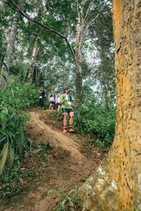 BIB: 
                            <button type="button" onclick="openModal(24856036)" class="btn btn-primary btn-sm float-right btn-popup" data-toggle="modal" data-target=".modal-high-quality">
                        <i class="fas fa-shopping-cart"></i> Add to Cart
                    </button>
                                            <button type="button" onclick="isThisMe(24856036, true)" class="btn btn-success btn-sm float-right btn-popup btn-isme hidden" data-toggle="tooltip" data-placement="bottom" title="นี่คือรูปของคุณใช่ไหม คลิกที่นี่เพื่อเอาเข้าอัลบั้ม">
                        <i class="fas fa-plus"></i> Add to album
                    </button>
                    <button type="button" onclick="isThisMe(24856036, false)" class="btn btn-warning btn-sm float-right btn-popup btn-isnotme hidden">
                        <i class="fas fa-ban"></i> Remove from album
                    </button>