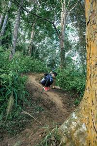 BIB: 
                            <button type="button" onclick="openModal(24856908)" class="btn btn-primary btn-sm float-right btn-popup" data-toggle="modal" data-target=".modal-high-quality">
                        <i class="fas fa-shopping-cart"></i> Add to Cart
                    </button>
                                            <button type="button" onclick="isThisMe(24856908, true)" class="btn btn-success btn-sm float-right btn-popup btn-isme hidden" data-toggle="tooltip" data-placement="bottom" title="นี่คือรูปของคุณใช่ไหม คลิกที่นี่เพื่อเอาเข้าอัลบั้ม">
                        <i class="fas fa-plus"></i> Add to album
                    </button>
                    <button type="button" onclick="isThisMe(24856908, false)" class="btn btn-warning btn-sm float-right btn-popup btn-isnotme hidden">
                        <i class="fas fa-ban"></i> Remove from album
                    </button>