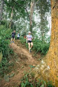 BIB: 
                            <button type="button" onclick="openModal(24853755)" class="btn btn-primary btn-sm float-right btn-popup" data-toggle="modal" data-target=".modal-high-quality">
                        <i class="fas fa-shopping-cart"></i> Add to Cart
                    </button>
                                            <button type="button" onclick="isThisMe(24853755, true)" class="btn btn-success btn-sm float-right btn-popup btn-isme hidden" data-toggle="tooltip" data-placement="bottom" title="นี่คือรูปของคุณใช่ไหม คลิกที่นี่เพื่อเอาเข้าอัลบั้ม">
                        <i class="fas fa-plus"></i> Add to album
                    </button>
                    <button type="button" onclick="isThisMe(24853755, false)" class="btn btn-warning btn-sm float-right btn-popup btn-isnotme hidden">
                        <i class="fas fa-ban"></i> Remove from album
                    </button>