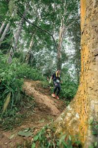 BIB: 
                            <button type="button" onclick="openModal(24856500)" class="btn btn-primary btn-sm float-right btn-popup" data-toggle="modal" data-target=".modal-high-quality">
                        <i class="fas fa-shopping-cart"></i> Add to Cart
                    </button>
                                            <button type="button" onclick="isThisMe(24856500, true)" class="btn btn-success btn-sm float-right btn-popup btn-isme hidden" data-toggle="tooltip" data-placement="bottom" title="นี่คือรูปของคุณใช่ไหม คลิกที่นี่เพื่อเอาเข้าอัลบั้ม">
                        <i class="fas fa-plus"></i> Add to album
                    </button>
                    <button type="button" onclick="isThisMe(24856500, false)" class="btn btn-warning btn-sm float-right btn-popup btn-isnotme hidden">
                        <i class="fas fa-ban"></i> Remove from album
                    </button>