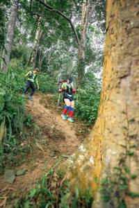 BIB: 
                            <button type="button" onclick="openModal(24853723)" class="btn btn-primary btn-sm float-right btn-popup" data-toggle="modal" data-target=".modal-high-quality">
                        <i class="fas fa-shopping-cart"></i> Add to Cart
                    </button>
                                            <button type="button" onclick="isThisMe(24853723, true)" class="btn btn-success btn-sm float-right btn-popup btn-isme hidden" data-toggle="tooltip" data-placement="bottom" title="นี่คือรูปของคุณใช่ไหม คลิกที่นี่เพื่อเอาเข้าอัลบั้ม">
                        <i class="fas fa-plus"></i> Add to album
                    </button>
                    <button type="button" onclick="isThisMe(24853723, false)" class="btn btn-warning btn-sm float-right btn-popup btn-isnotme hidden">
                        <i class="fas fa-ban"></i> Remove from album
                    </button>