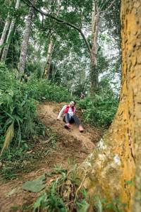 BIB: 
                            <button type="button" onclick="openModal(24856428)" class="btn btn-primary btn-sm float-right btn-popup" data-toggle="modal" data-target=".modal-high-quality">
                        <i class="fas fa-shopping-cart"></i> Add to Cart
                    </button>
                                            <button type="button" onclick="isThisMe(24856428, true)" class="btn btn-success btn-sm float-right btn-popup btn-isme hidden" data-toggle="tooltip" data-placement="bottom" title="นี่คือรูปของคุณใช่ไหม คลิกที่นี่เพื่อเอาเข้าอัลบั้ม">
                        <i class="fas fa-plus"></i> Add to album
                    </button>
                    <button type="button" onclick="isThisMe(24856428, false)" class="btn btn-warning btn-sm float-right btn-popup btn-isnotme hidden">
                        <i class="fas fa-ban"></i> Remove from album
                    </button>