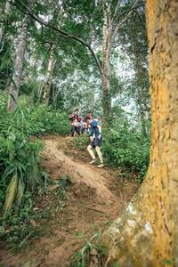 BIB: 
                            <button type="button" onclick="openModal(24855943)" class="btn btn-primary btn-sm float-right btn-popup" data-toggle="modal" data-target=".modal-high-quality">
                        <i class="fas fa-shopping-cart"></i> Add to Cart
                    </button>
                                            <button type="button" onclick="isThisMe(24855943, true)" class="btn btn-success btn-sm float-right btn-popup btn-isme hidden" data-toggle="tooltip" data-placement="bottom" title="นี่คือรูปของคุณใช่ไหม คลิกที่นี่เพื่อเอาเข้าอัลบั้ม">
                        <i class="fas fa-plus"></i> Add to album
                    </button>
                    <button type="button" onclick="isThisMe(24855943, false)" class="btn btn-warning btn-sm float-right btn-popup btn-isnotme hidden">
                        <i class="fas fa-ban"></i> Remove from album
                    </button>