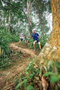 BIB: 
                            <button type="button" onclick="openModal(24856029)" class="btn btn-primary btn-sm float-right btn-popup" data-toggle="modal" data-target=".modal-high-quality">
                        <i class="fas fa-shopping-cart"></i> Add to Cart
                    </button>
                                            <button type="button" onclick="isThisMe(24856029, true)" class="btn btn-success btn-sm float-right btn-popup btn-isme hidden" data-toggle="tooltip" data-placement="bottom" title="นี่คือรูปของคุณใช่ไหม คลิกที่นี่เพื่อเอาเข้าอัลบั้ม">
                        <i class="fas fa-plus"></i> Add to album
                    </button>
                    <button type="button" onclick="isThisMe(24856029, false)" class="btn btn-warning btn-sm float-right btn-popup btn-isnotme hidden">
                        <i class="fas fa-ban"></i> Remove from album
                    </button>