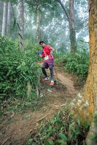 BIB: 
                            <button type="button" onclick="openModal(24852297)" class="btn btn-primary btn-sm float-right btn-popup" data-toggle="modal" data-target=".modal-high-quality">
                        <i class="fas fa-shopping-cart"></i> Add to Cart
                    </button>
                                            <button type="button" onclick="isThisMe(24852297, true)" class="btn btn-success btn-sm float-right btn-popup btn-isme hidden" data-toggle="tooltip" data-placement="bottom" title="นี่คือรูปของคุณใช่ไหม คลิกที่นี่เพื่อเอาเข้าอัลบั้ม">
                        <i class="fas fa-plus"></i> Add to album
                    </button>
                    <button type="button" onclick="isThisMe(24852297, false)" class="btn btn-warning btn-sm float-right btn-popup btn-isnotme hidden">
                        <i class="fas fa-ban"></i> Remove from album
                    </button>