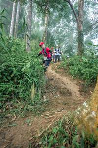 BIB: 
                            <button type="button" onclick="openModal(24852407)" class="btn btn-primary btn-sm float-right btn-popup" data-toggle="modal" data-target=".modal-high-quality">
                        <i class="fas fa-shopping-cart"></i> Add to Cart
                    </button>
                                            <button type="button" onclick="isThisMe(24852407, true)" class="btn btn-success btn-sm float-right btn-popup btn-isme hidden" data-toggle="tooltip" data-placement="bottom" title="นี่คือรูปของคุณใช่ไหม คลิกที่นี่เพื่อเอาเข้าอัลบั้ม">
                        <i class="fas fa-plus"></i> Add to album
                    </button>
                    <button type="button" onclick="isThisMe(24852407, false)" class="btn btn-warning btn-sm float-right btn-popup btn-isnotme hidden">
                        <i class="fas fa-ban"></i> Remove from album
                    </button>