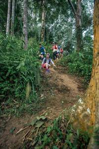 BIB: 
                            <button type="button" onclick="openModal(24852771)" class="btn btn-primary btn-sm float-right btn-popup" data-toggle="modal" data-target=".modal-high-quality">
                        <i class="fas fa-shopping-cart"></i> Add to Cart
                    </button>
                                            <button type="button" onclick="isThisMe(24852771, true)" class="btn btn-success btn-sm float-right btn-popup btn-isme hidden" data-toggle="tooltip" data-placement="bottom" title="นี่คือรูปของคุณใช่ไหม คลิกที่นี่เพื่อเอาเข้าอัลบั้ม">
                        <i class="fas fa-plus"></i> Add to album
                    </button>
                    <button type="button" onclick="isThisMe(24852771, false)" class="btn btn-warning btn-sm float-right btn-popup btn-isnotme hidden">
                        <i class="fas fa-ban"></i> Remove from album
                    </button>