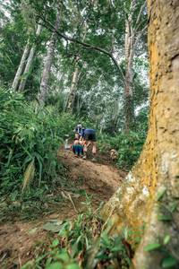 BIB: 
                            <button type="button" onclick="openModal(24856690)" class="btn btn-primary btn-sm float-right btn-popup" data-toggle="modal" data-target=".modal-high-quality">
                        <i class="fas fa-shopping-cart"></i> Add to Cart
                    </button>
                                            <button type="button" onclick="isThisMe(24856690, true)" class="btn btn-success btn-sm float-right btn-popup btn-isme hidden" data-toggle="tooltip" data-placement="bottom" title="นี่คือรูปของคุณใช่ไหม คลิกที่นี่เพื่อเอาเข้าอัลบั้ม">
                        <i class="fas fa-plus"></i> Add to album
                    </button>
                    <button type="button" onclick="isThisMe(24856690, false)" class="btn btn-warning btn-sm float-right btn-popup btn-isnotme hidden">
                        <i class="fas fa-ban"></i> Remove from album
                    </button>