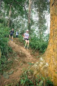 BIB: 
                            <button type="button" onclick="openModal(24853750)" class="btn btn-primary btn-sm float-right btn-popup" data-toggle="modal" data-target=".modal-high-quality">
                        <i class="fas fa-shopping-cart"></i> Add to Cart
                    </button>
                                            <button type="button" onclick="isThisMe(24853750, true)" class="btn btn-success btn-sm float-right btn-popup btn-isme hidden" data-toggle="tooltip" data-placement="bottom" title="นี่คือรูปของคุณใช่ไหม คลิกที่นี่เพื่อเอาเข้าอัลบั้ม">
                        <i class="fas fa-plus"></i> Add to album
                    </button>
                    <button type="button" onclick="isThisMe(24853750, false)" class="btn btn-warning btn-sm float-right btn-popup btn-isnotme hidden">
                        <i class="fas fa-ban"></i> Remove from album
                    </button>