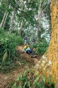 BIB: 
                            <button type="button" onclick="openModal(24856739)" class="btn btn-primary btn-sm float-right btn-popup" data-toggle="modal" data-target=".modal-high-quality">
                        <i class="fas fa-shopping-cart"></i> Add to Cart
                    </button>
                                            <button type="button" onclick="isThisMe(24856739, true)" class="btn btn-success btn-sm float-right btn-popup btn-isme hidden" data-toggle="tooltip" data-placement="bottom" title="นี่คือรูปของคุณใช่ไหม คลิกที่นี่เพื่อเอาเข้าอัลบั้ม">
                        <i class="fas fa-plus"></i> Add to album
                    </button>
                    <button type="button" onclick="isThisMe(24856739, false)" class="btn btn-warning btn-sm float-right btn-popup btn-isnotme hidden">
                        <i class="fas fa-ban"></i> Remove from album
                    </button>