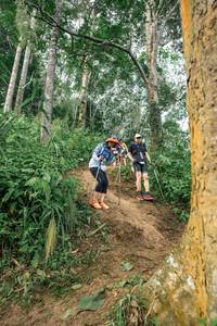 BIB: 
                            <button type="button" onclick="openModal(24856215)" class="btn btn-primary btn-sm float-right btn-popup" data-toggle="modal" data-target=".modal-high-quality">
                        <i class="fas fa-shopping-cart"></i> Add to Cart
                    </button>
                                            <button type="button" onclick="isThisMe(24856215, true)" class="btn btn-success btn-sm float-right btn-popup btn-isme hidden" data-toggle="tooltip" data-placement="bottom" title="นี่คือรูปของคุณใช่ไหม คลิกที่นี่เพื่อเอาเข้าอัลบั้ม">
                        <i class="fas fa-plus"></i> Add to album
                    </button>
                    <button type="button" onclick="isThisMe(24856215, false)" class="btn btn-warning btn-sm float-right btn-popup btn-isnotme hidden">
                        <i class="fas fa-ban"></i> Remove from album
                    </button>