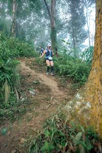 BIB: 
                            <button type="button" onclick="openModal(24852194)" class="btn btn-primary btn-sm float-right btn-popup" data-toggle="modal" data-target=".modal-high-quality">
                        <i class="fas fa-shopping-cart"></i> Add to Cart
                    </button>
                                            <button type="button" onclick="isThisMe(24852194, true)" class="btn btn-success btn-sm float-right btn-popup btn-isme hidden" data-toggle="tooltip" data-placement="bottom" title="นี่คือรูปของคุณใช่ไหม คลิกที่นี่เพื่อเอาเข้าอัลบั้ม">
                        <i class="fas fa-plus"></i> Add to album
                    </button>
                    <button type="button" onclick="isThisMe(24852194, false)" class="btn btn-warning btn-sm float-right btn-popup btn-isnotme hidden">
                        <i class="fas fa-ban"></i> Remove from album
                    </button>