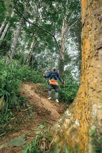 BIB: 
                            <button type="button" onclick="openModal(24856314)" class="btn btn-primary btn-sm float-right btn-popup" data-toggle="modal" data-target=".modal-high-quality">
                        <i class="fas fa-shopping-cart"></i> Add to Cart
                    </button>
                                            <button type="button" onclick="isThisMe(24856314, true)" class="btn btn-success btn-sm float-right btn-popup btn-isme hidden" data-toggle="tooltip" data-placement="bottom" title="นี่คือรูปของคุณใช่ไหม คลิกที่นี่เพื่อเอาเข้าอัลบั้ม">
                        <i class="fas fa-plus"></i> Add to album
                    </button>
                    <button type="button" onclick="isThisMe(24856314, false)" class="btn btn-warning btn-sm float-right btn-popup btn-isnotme hidden">
                        <i class="fas fa-ban"></i> Remove from album
                    </button>