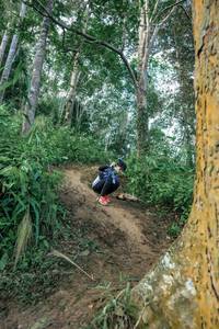 BIB: 
                            <button type="button" onclick="openModal(24856907)" class="btn btn-primary btn-sm float-right btn-popup" data-toggle="modal" data-target=".modal-high-quality">
                        <i class="fas fa-shopping-cart"></i> Add to Cart
                    </button>
                                            <button type="button" onclick="isThisMe(24856907, true)" class="btn btn-success btn-sm float-right btn-popup btn-isme hidden" data-toggle="tooltip" data-placement="bottom" title="นี่คือรูปของคุณใช่ไหม คลิกที่นี่เพื่อเอาเข้าอัลบั้ม">
                        <i class="fas fa-plus"></i> Add to album
                    </button>
                    <button type="button" onclick="isThisMe(24856907, false)" class="btn btn-warning btn-sm float-right btn-popup btn-isnotme hidden">
                        <i class="fas fa-ban"></i> Remove from album
                    </button>