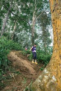 BIB: 
                            <button type="button" onclick="openModal(24856651)" class="btn btn-primary btn-sm float-right btn-popup" data-toggle="modal" data-target=".modal-high-quality">
                        <i class="fas fa-shopping-cart"></i> Add to Cart
                    </button>
                                            <button type="button" onclick="isThisMe(24856651, true)" class="btn btn-success btn-sm float-right btn-popup btn-isme hidden" data-toggle="tooltip" data-placement="bottom" title="นี่คือรูปของคุณใช่ไหม คลิกที่นี่เพื่อเอาเข้าอัลบั้ม">
                        <i class="fas fa-plus"></i> Add to album
                    </button>
                    <button type="button" onclick="isThisMe(24856651, false)" class="btn btn-warning btn-sm float-right btn-popup btn-isnotme hidden">
                        <i class="fas fa-ban"></i> Remove from album
                    </button>