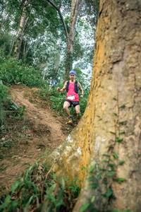 BIB: 
                            <button type="button" onclick="openModal(24853380)" class="btn btn-primary btn-sm float-right btn-popup" data-toggle="modal" data-target=".modal-high-quality">
                        <i class="fas fa-shopping-cart"></i> Add to Cart
                    </button>
                                            <button type="button" onclick="isThisMe(24853380, true)" class="btn btn-success btn-sm float-right btn-popup btn-isme hidden" data-toggle="tooltip" data-placement="bottom" title="นี่คือรูปของคุณใช่ไหม คลิกที่นี่เพื่อเอาเข้าอัลบั้ม">
                        <i class="fas fa-plus"></i> Add to album
                    </button>
                    <button type="button" onclick="isThisMe(24853380, false)" class="btn btn-warning btn-sm float-right btn-popup btn-isnotme hidden">
                        <i class="fas fa-ban"></i> Remove from album
                    </button>