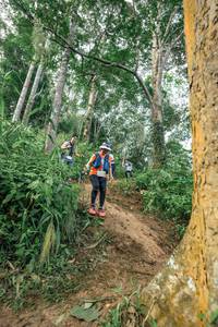 BIB: 
                            <button type="button" onclick="openModal(24856464)" class="btn btn-primary btn-sm float-right btn-popup" data-toggle="modal" data-target=".modal-high-quality">
                        <i class="fas fa-shopping-cart"></i> Add to Cart
                    </button>
                                            <button type="button" onclick="isThisMe(24856464, true)" class="btn btn-success btn-sm float-right btn-popup btn-isme hidden" data-toggle="tooltip" data-placement="bottom" title="นี่คือรูปของคุณใช่ไหม คลิกที่นี่เพื่อเอาเข้าอัลบั้ม">
                        <i class="fas fa-plus"></i> Add to album
                    </button>
                    <button type="button" onclick="isThisMe(24856464, false)" class="btn btn-warning btn-sm float-right btn-popup btn-isnotme hidden">
                        <i class="fas fa-ban"></i> Remove from album
                    </button>