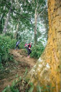 BIB: 
                            <button type="button" onclick="openModal(24854272)" class="btn btn-primary btn-sm float-right btn-popup" data-toggle="modal" data-target=".modal-high-quality">
                        <i class="fas fa-shopping-cart"></i> Add to Cart
                    </button>
                                            <button type="button" onclick="isThisMe(24854272, true)" class="btn btn-success btn-sm float-right btn-popup btn-isme hidden" data-toggle="tooltip" data-placement="bottom" title="นี่คือรูปของคุณใช่ไหม คลิกที่นี่เพื่อเอาเข้าอัลบั้ม">
                        <i class="fas fa-plus"></i> Add to album
                    </button>
                    <button type="button" onclick="isThisMe(24854272, false)" class="btn btn-warning btn-sm float-right btn-popup btn-isnotme hidden">
                        <i class="fas fa-ban"></i> Remove from album
                    </button>